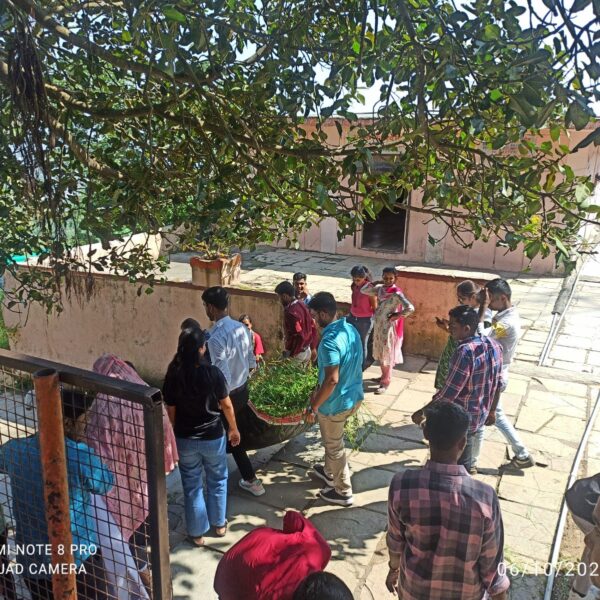 01eed7b2-f2d8-4213-8787-9a449d8955f3